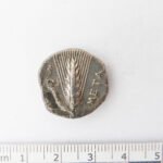 Drachme de la cité italienne de Métaponte revers