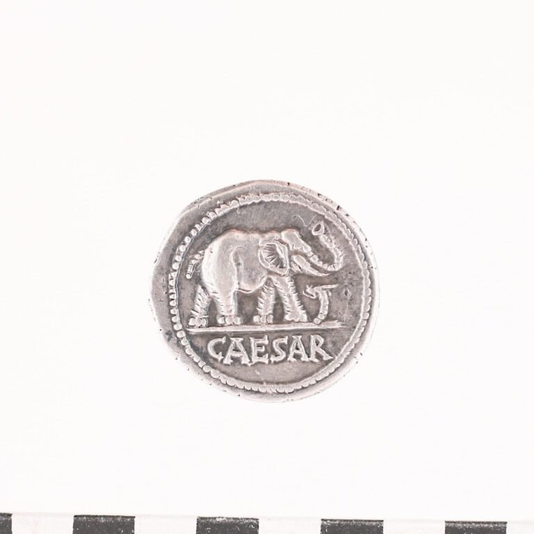 restauration et conservation de monnaies