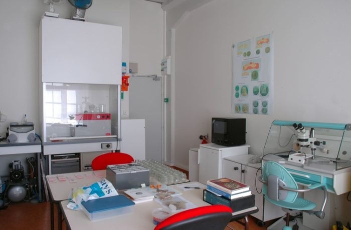 conservation de monnaies anciennes